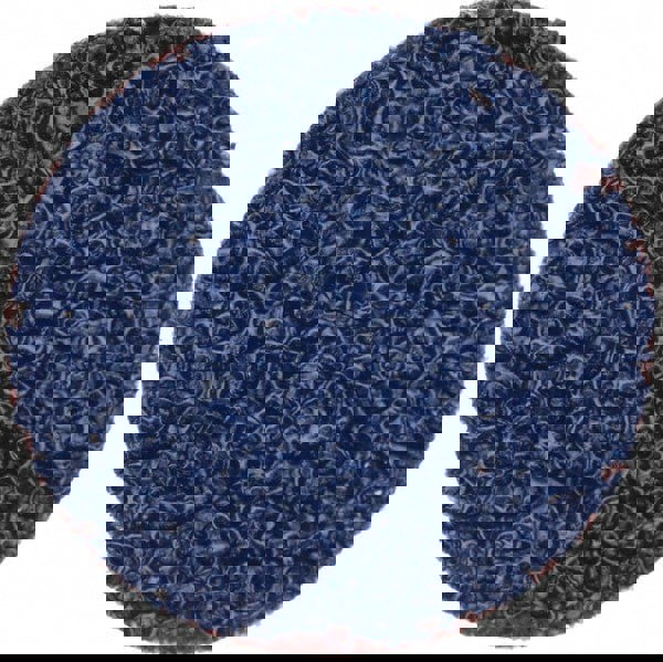 Quick-Change Disc: Speed-Lok TR, 1-1/2